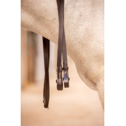 Renas Eden Pénélope Havana Castanho