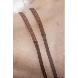 Renas Eden Pénélope Havana Castanho