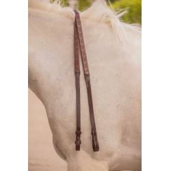 Renas Eden Pénélope Havana Castanho