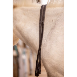 Renas Eden Pénélope Havana Castanho