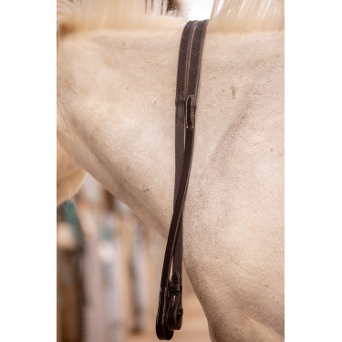 Renas Eden Pénélope Havana Castanho