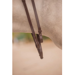 Renas Eden Pénélope Havana Castanho