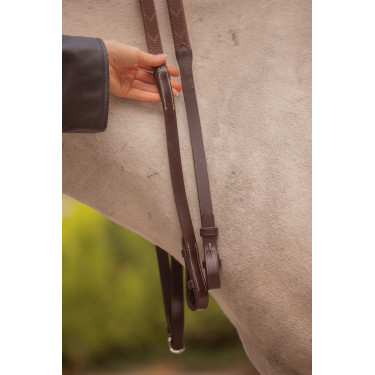 Renas Eden Pénélope Havana Castanho