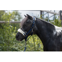 Cabeçada Mia para shettys HKM Azul escuro