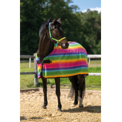 Capa de secagem Rainbow para shettys HKM Riscas multicoloridas