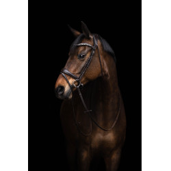 Bridão Arezzo Lauria Garrelli Castanho escuro