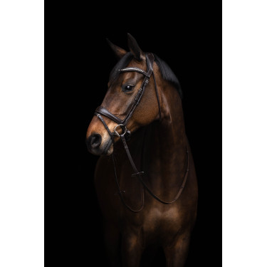 Bridão Arezzo Lauria Garrelli Castanho escuro