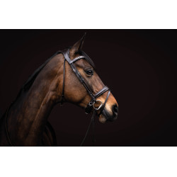 Bridão Arezzo Lauria Garrelli Castanho escuro