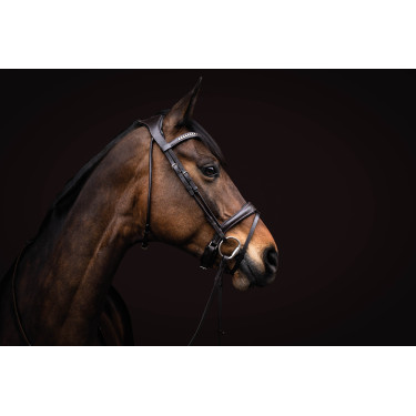 Bridão Arezzo Lauria Garrelli Castanho escuro