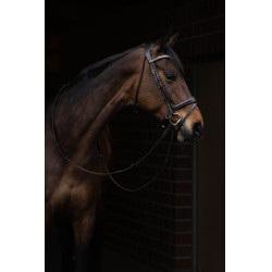 Bridão Arezzo Lauria Garrelli Castanho escuro