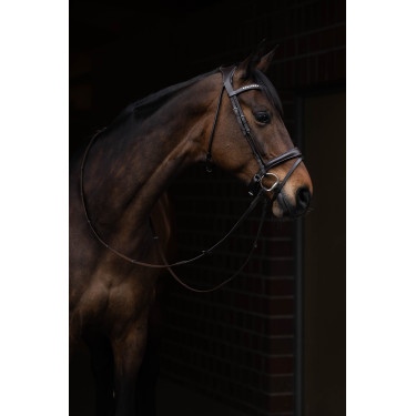 Bridão Arezzo Lauria Garrelli Castanho escuro