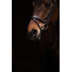 Bridão Arezzo Lauria Garrelli Castanho escuro