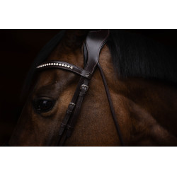 Bridão Arezzo Lauria Garrelli Castanho escuro