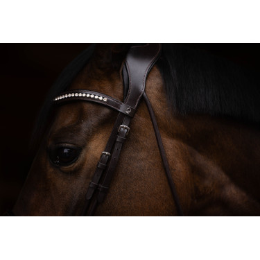 Bridão Arezzo Lauria Garrelli Castanho escuro