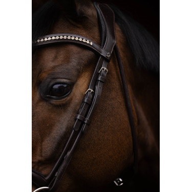 Bridão Arezzo Lauria Garrelli Castanho escuro