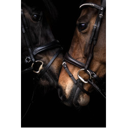 Bridão Arezzo Lauria Garrelli Castanho escuro