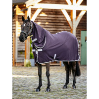 Camisa LeMieux Arika DryEase Zimbro Violeta