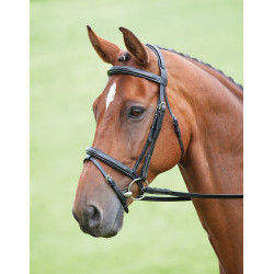 Bridon Bodenham Salisbury Shires Preto Bridon Bodenham Salisbury Shires Preto