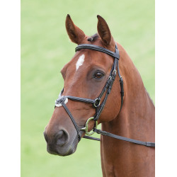 Bridon Brackley Salisbury Shires Preto
