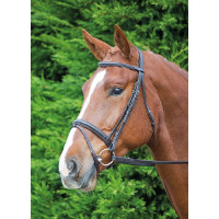 Bridão Comfort Fit Aviemore Shires Havana Castanho Bridão Comfort Fit Aviemore Shires Havana Castanho