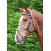 Bridão mexicano Aviemore Shires Havana Castanho Bridão mexicano Aviemore Shires Havana Castanho