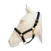 Conjunto de cabresto e corda Flags & Cup Nossy Marinho Azul-marinho