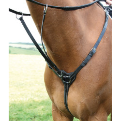 Peitoral de 3 pontos Salisbury Shires Preto