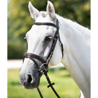 Bridão Tattini com muserola combinada acolchoada Castanho