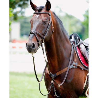 Peitoral Tattini de 5 pontos Castanho com fivela de latão