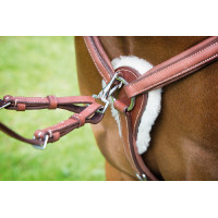 Peitoral de 5 pontos Avignon Shires Havana Castanho Peitoral de 5 pontos Avignon Shires Havana Castanho