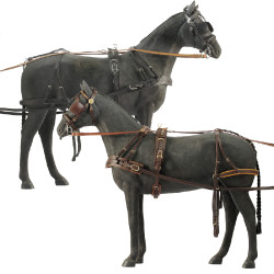 Arreios Daslö para carruagem de 4 rodas Preto