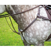 Peitoral de 5 pontos Salisbury Shires Havana Castanho Peitoral de 5 pontos Salisbury Shires Havana Castanho