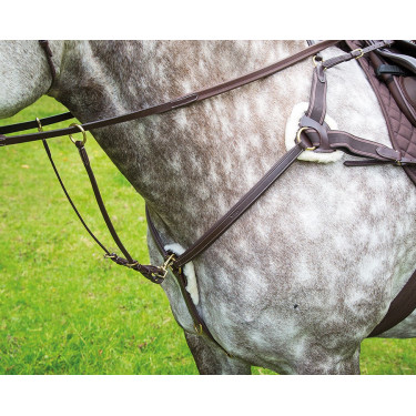 Peitoral de 5 pontos Salisbury Shires Havana Castanho