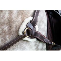Peitoral de 5 pontos Salisbury Shires Havana Castanho