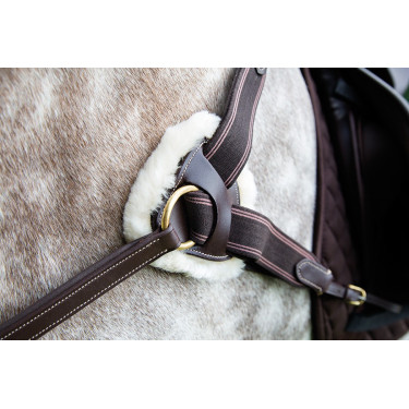 Peitoral de 5 pontos Salisbury Shires Havana Castanho