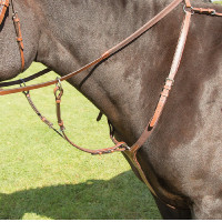 Peitoral Avignon Shires Carvalho