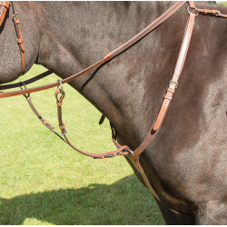 Peitoral Avignon Shires Carvalho Peitoral Avignon Shires Carvalho