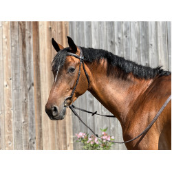 Bridão T de T Essentiel Confort Havana escuro Castanho Bridão T de T Essentiel Confort Havana escuro Castanho