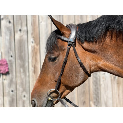 Bridão T de T Essentiel Confort Havana escuro Castanho Bridão T de T Essentiel Confort Havana escuro Castanho