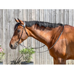 Bridão T de T Essentiel Confort Havana escuro Castanho Bridão T de T Essentiel Confort Havana escuro Castanho