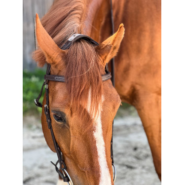 Bridão T de T Essentiel com Ponte