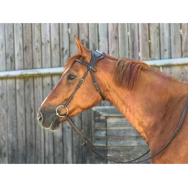 Bridão T de T Essentiel com Ponte