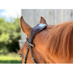 Bridão T de T Essentiel com Ponte