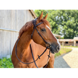 Bridão T de T Essentiel com Ponte