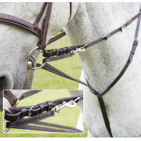 Enrênement Howlett Blenheim Shires Enrênement Howlett Blenheim Shires