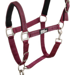 Cabresto Sintético com Corda Refletiva Supreme Bordéus Bordô Cabresto Sintético com Corda Refletiva Supreme Bordéus Bordô