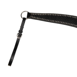 Brustblatt Basket/Spots Pool's Preto