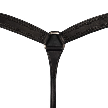 Peitoral Barbwire Pool's