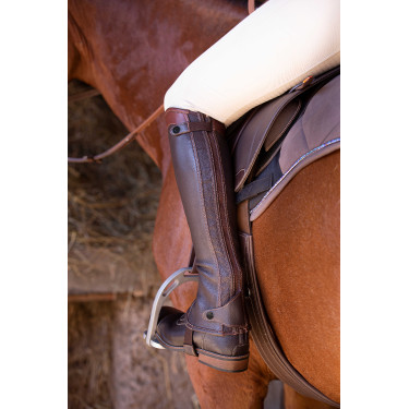 Mini-chaps Equithème Elite Havana Castanho