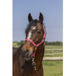 Cabresto Norton Grooming Rosa Antigo